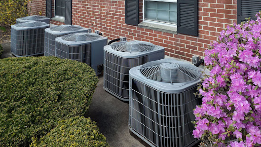 RGC SERVICES INC