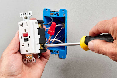 Tru Earth Electric