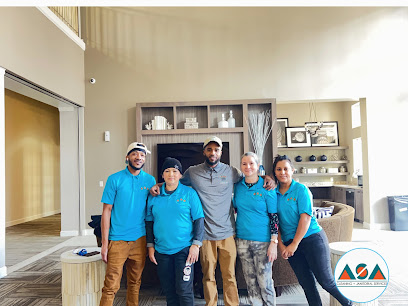 ASA Cleaners
