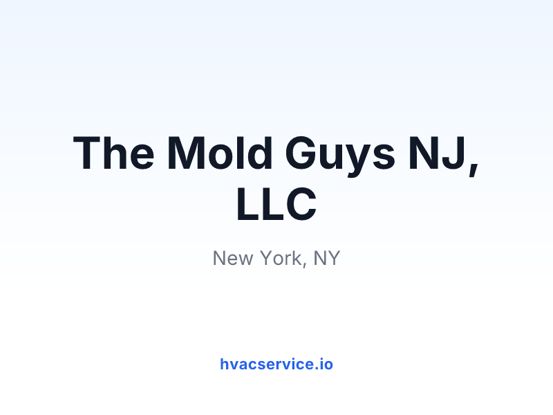 The Mold Guys NJ, LLC