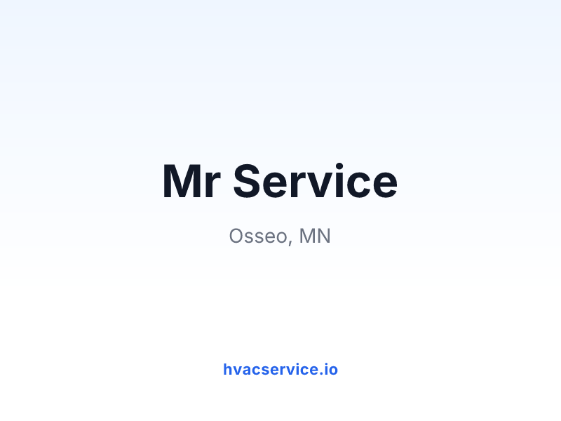 Mr Service