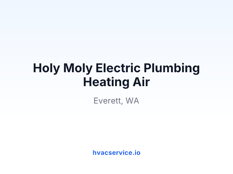 Holy Moly Electric Plumbing Heating Air
