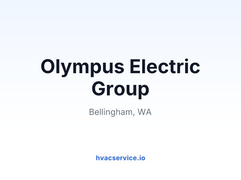 Olympus Electric Group