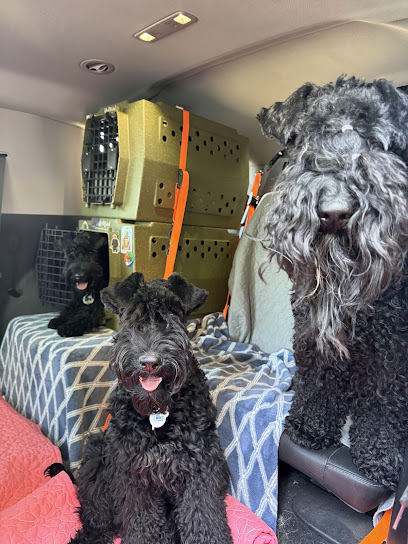 Ignite Heating and Air