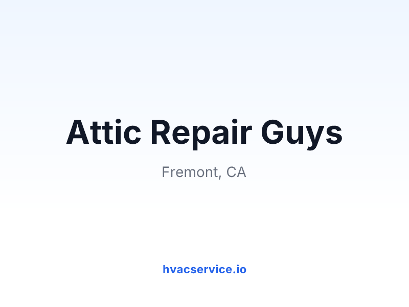 Attic Repair Guys