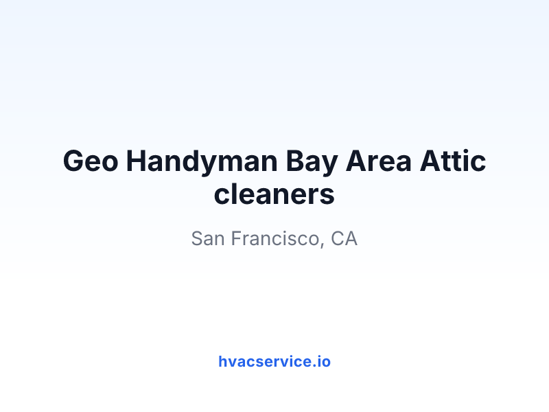 Geo Handyman Bay Area Attic cleaners