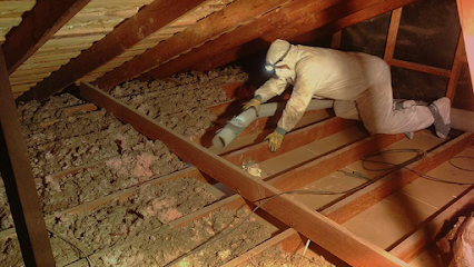Attic & Crawl Space Cleaning