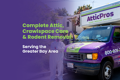 Attic Pros