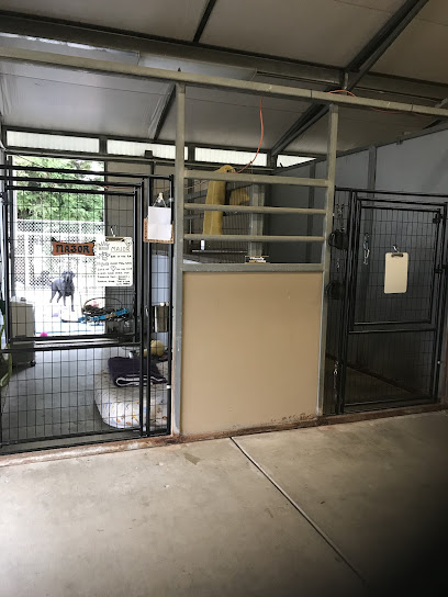 Celtic Dog Kennels