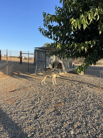 The Country Life Kennels