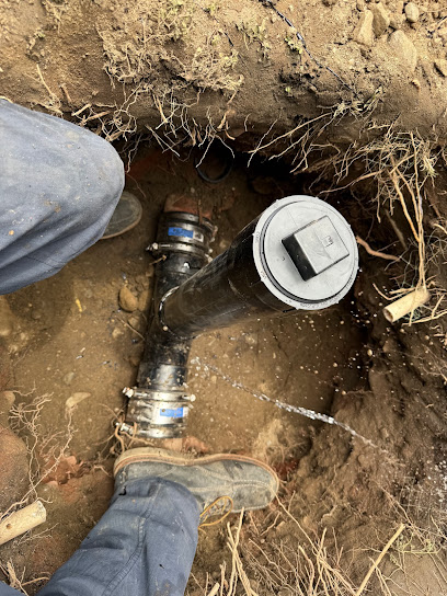 Plumbing Buddies