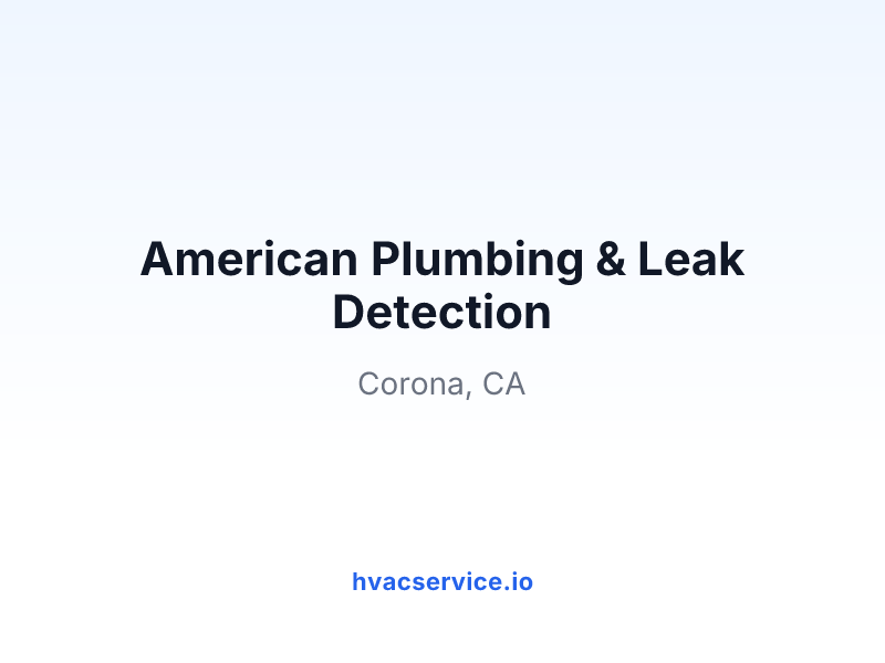 American Plumbing & Leak Detection