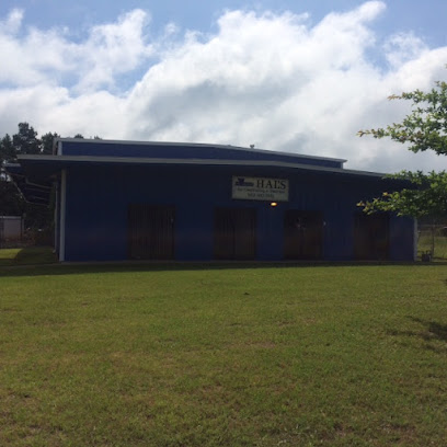 Hal's Air Conditioning & Electrical, Inc. and 323 Plumbing