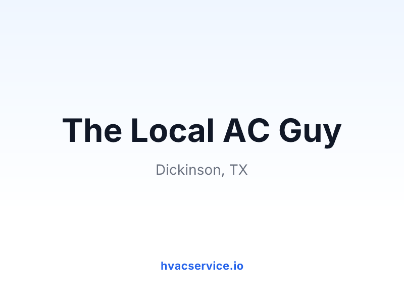 The Local AC Guy