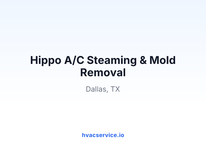 Hippo A/C Steaming & Mold Removal