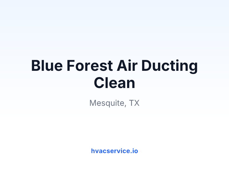 Blue Forest Air Ducting Clean