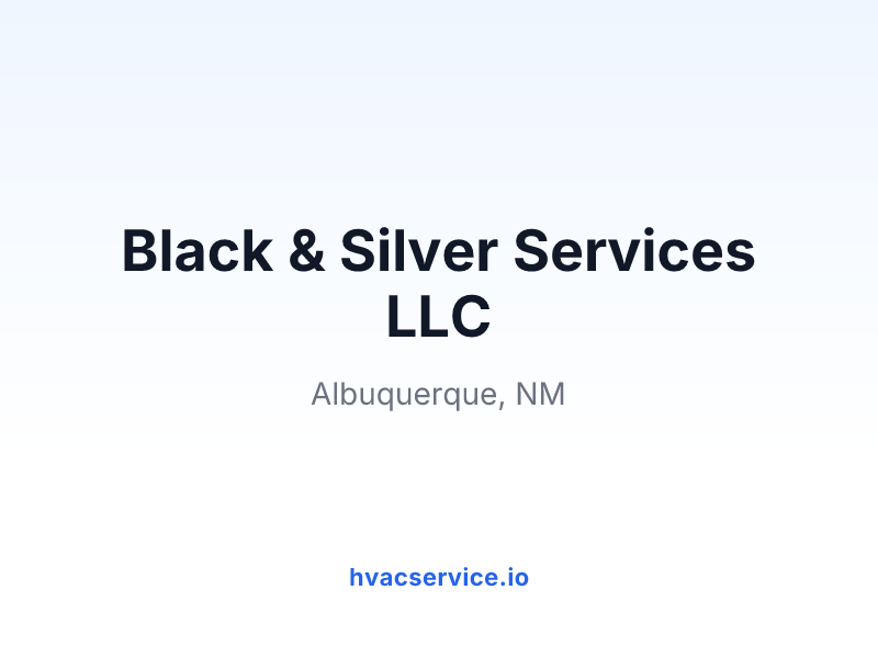 Black & Silver Services