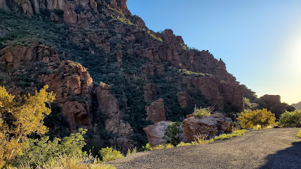 Superior, AZ 85173