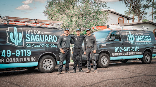 The Cool Saguaro LLC