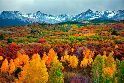Colorado Servicing