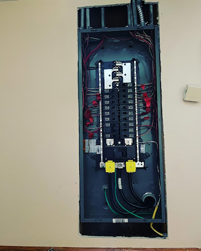 AUS ELECTRIC LLC