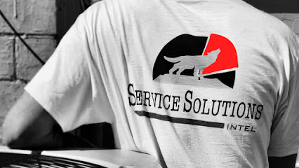 Service Solutions Intel, LLC