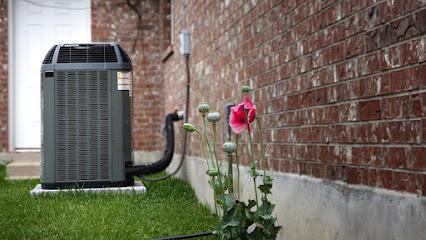 Critical Heating & Cooling