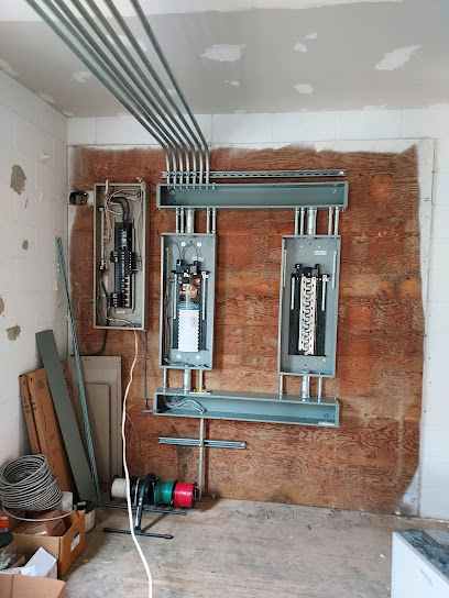 Dunamis Power & Light LLC