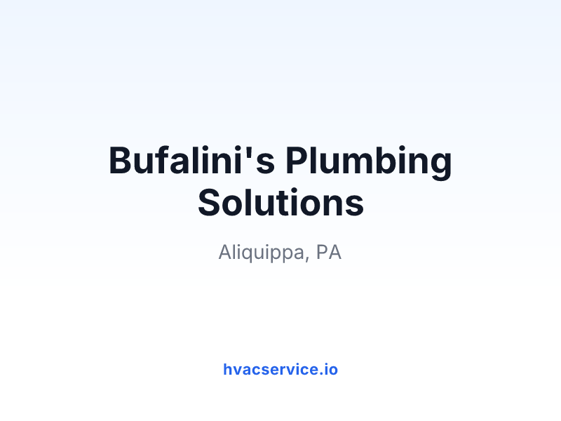 Bufalini's Plumbing Solutions