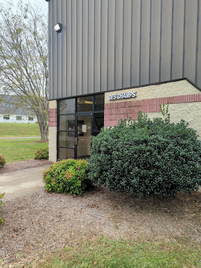 Des Air Duct Service