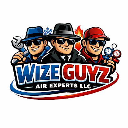 Wize Guyz Air Experts LLC