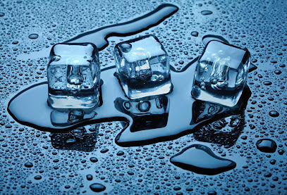 D' Ice Service Co.