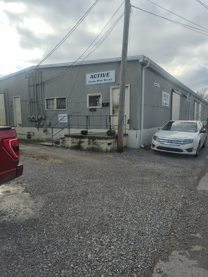 Active Electric Motor Services