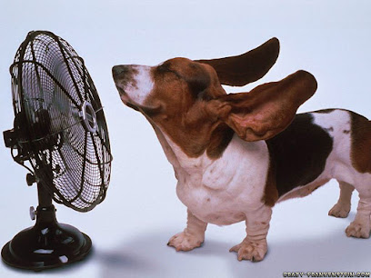 C & G Air Conditioning Heating and Appliance