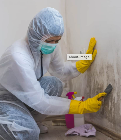 Shield Environmental Services