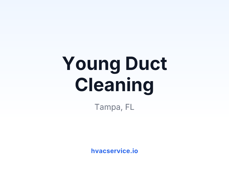 Young Duct Cleaning