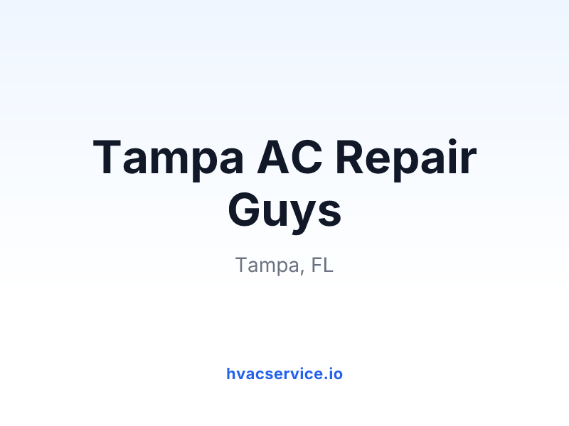 Tampa AC Repair Guys