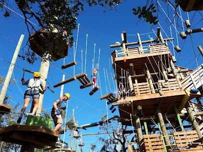 Cocoa Beach Aerial Adventures