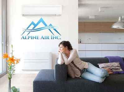 Alpine Air Inc.