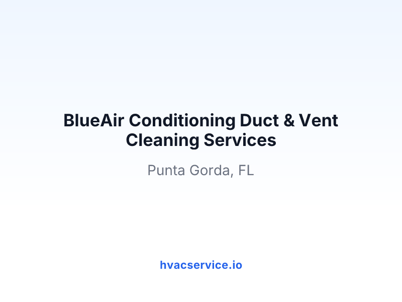 BlueAir Conditioning Duct & Vent Cleaning Services