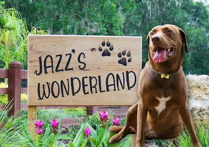 Jazz's Wonderland