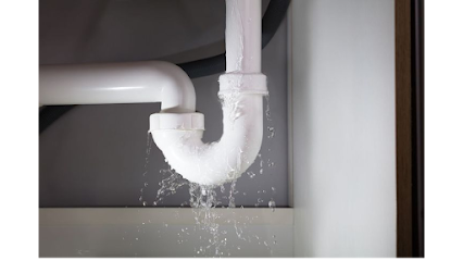 Essential Plumbing