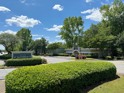 Villas at Panthersville Apartment Homes