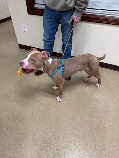 Walton County Animal Control