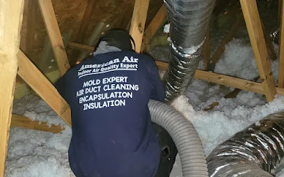 American Air and Mold