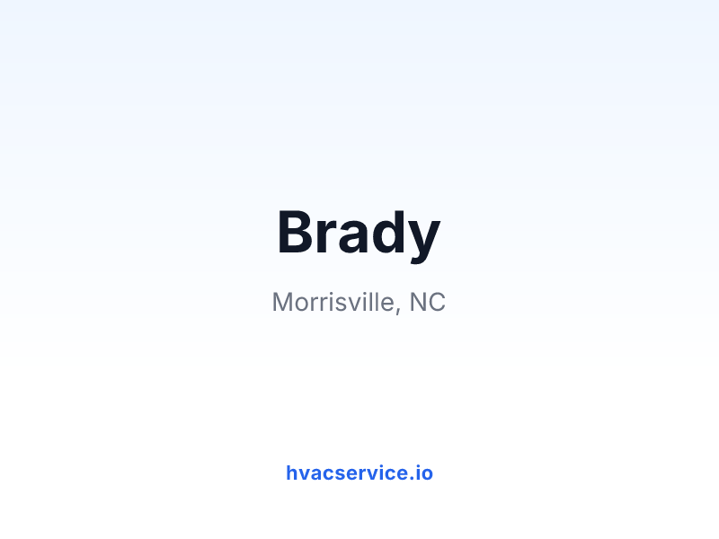 Brady