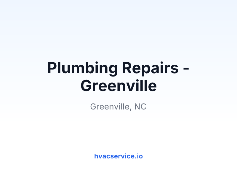 Plumbing Repairs - Greenville