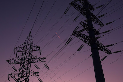 Wilson Electric Co of Farmville Inc
