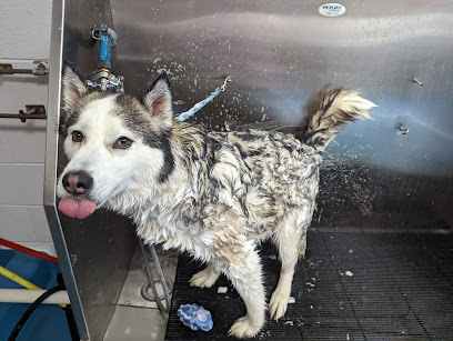 Professional All-Breed Grooming Pet Daycare & Boarding Center