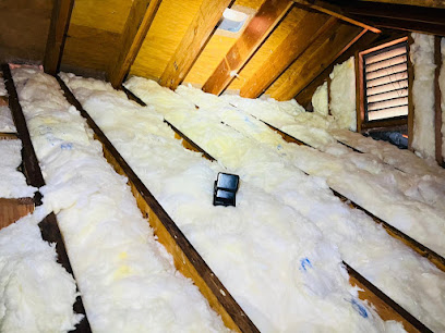 Attic & Mold Crew